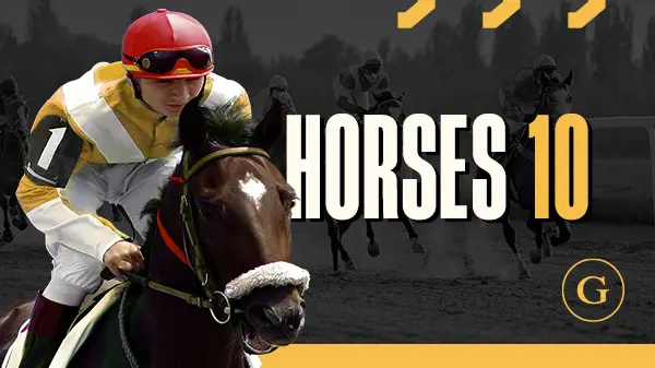 Horses 10 Flat - Spin City - Congo